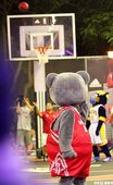 IMG_3579.JPG