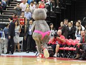 火箭熊賽前搞笑演出
