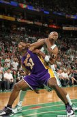 5、亞泰斯特(Ron Artest)