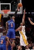 最出人意料獎(球員)：史陶德邁爾 (Amare Stoudemire)
