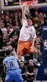 2010年：Steve Nash