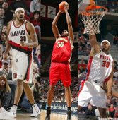15.華勒斯(Rasheed Wallace)