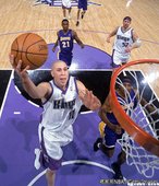 Mike Bibby