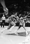 1981-82年猶他爵士隊