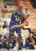 1993-94年達拉斯小牛隊