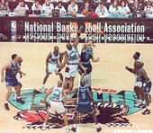 1995-96年溫哥華灰熊隊