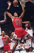 1993年芝加哥公牛隊
