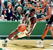 理察森(Jason Richardson)