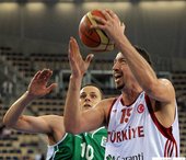 Hedo Turkoglu 土耳其