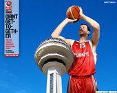 Hedo Turkoglu 土耳其