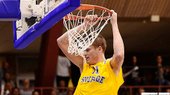 Jonas Jerebko 瑞典