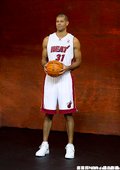 #31 Shane Battier