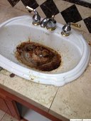 水槽的慘況