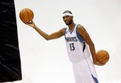 Corey Brewer
