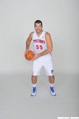Josh Harrellson