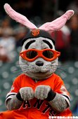 假扮成邦尼兔的  Lou Seal