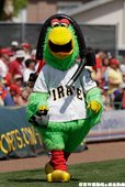 Pirate Parrot 在當地很有人氣