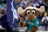 西雅圖水手 Mariner Moose