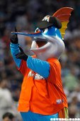 邁阿密馬林魚 Billy The Marlin