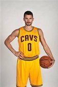 Kevin Love正式加盟騎士