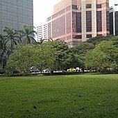 IMAG1655.jpg