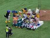 RIMG0363.JPG