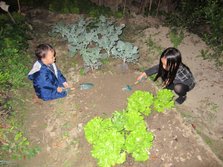 IMG_1619[1].JPG