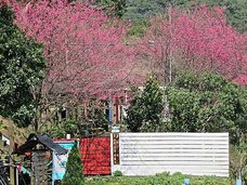 IMG_7187.JPG
