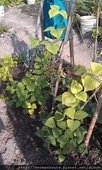 2014-07-16  中壢   003