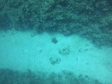 o1215a2630bf65a94b870d31bdc33448e_54964712_200218_0031.jpg