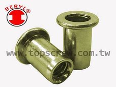 BLIND RIVET NUT-BAI SERIES-topscrew.jpg