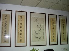 IMGP1540.JPG