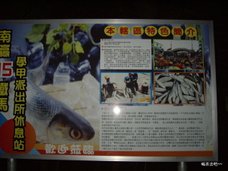 IMGP1550.JPG