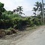DSC03941.JPG