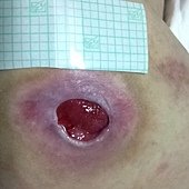 IMG_1382