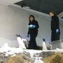 大家要排隊阿