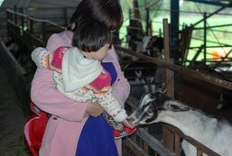 tn_DSC_2361.JPG