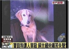 狗狗