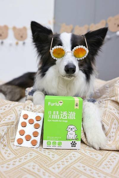 tamaki炯炯有神的小秘密-Furluv 佳犬晶透澈