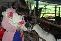 tn_DSC_2359.JPG