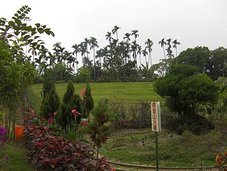 SANY1377.JPG