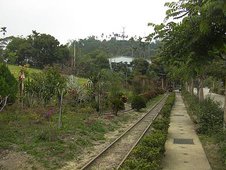 SANY1378.JPG
