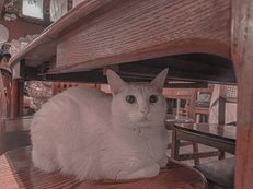 55CA656F-D990-4D6F-A6B1-3C9E57941D5E.jpeg