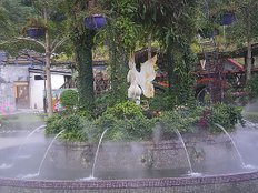 台一農場-3