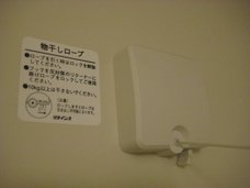IMG_3257.jpg