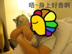 31小姐來親伊咧b.jpg