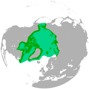 Polar_bear_range_map.png