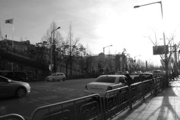 DSC_2272.JPG