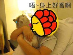 31小姐來親伊咧r.jpg