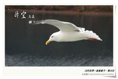 升空5.jpg